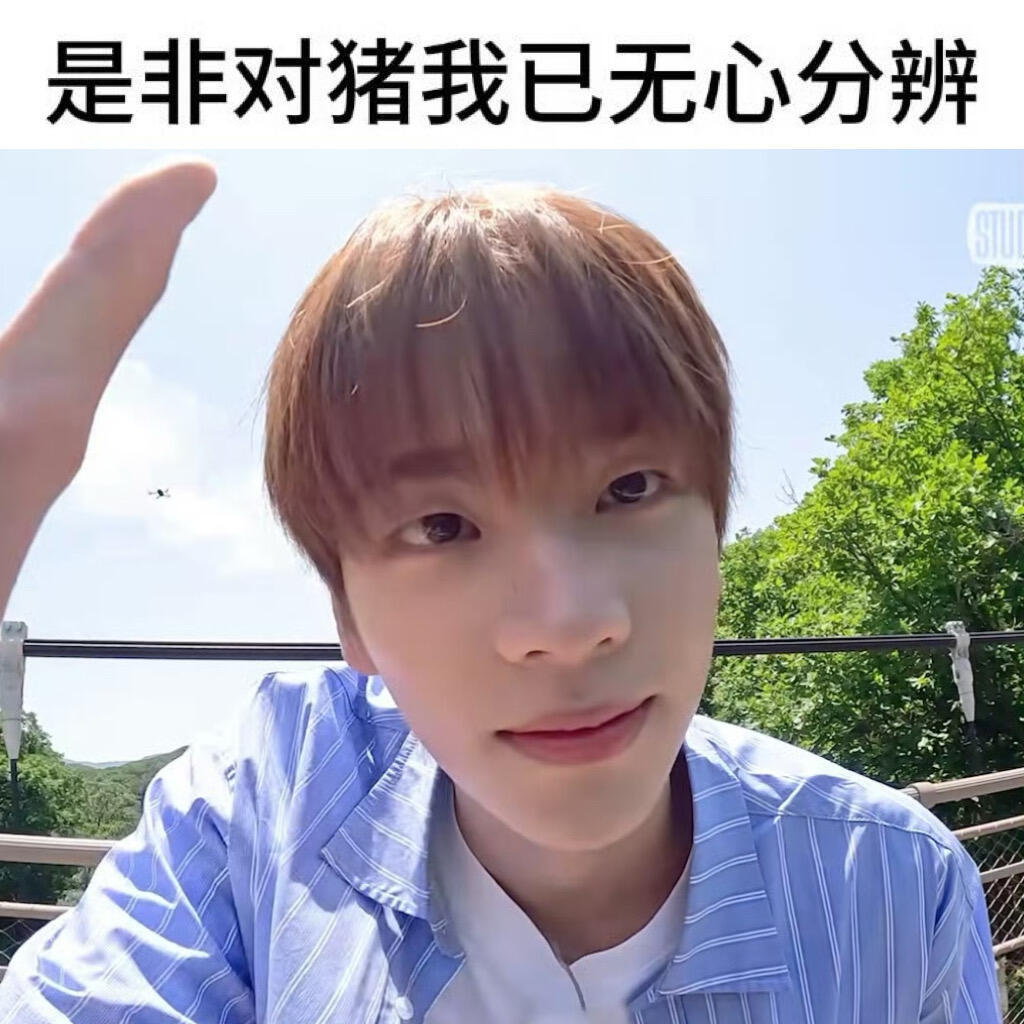 幸好没有酿成大猪/🍠ㅇㅃㄷ 
