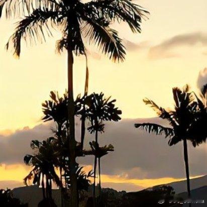 哪有什么一战成名，无非都是百炼成钢；哪有什么常胜将军，无非都是越挫越勇；只有输的