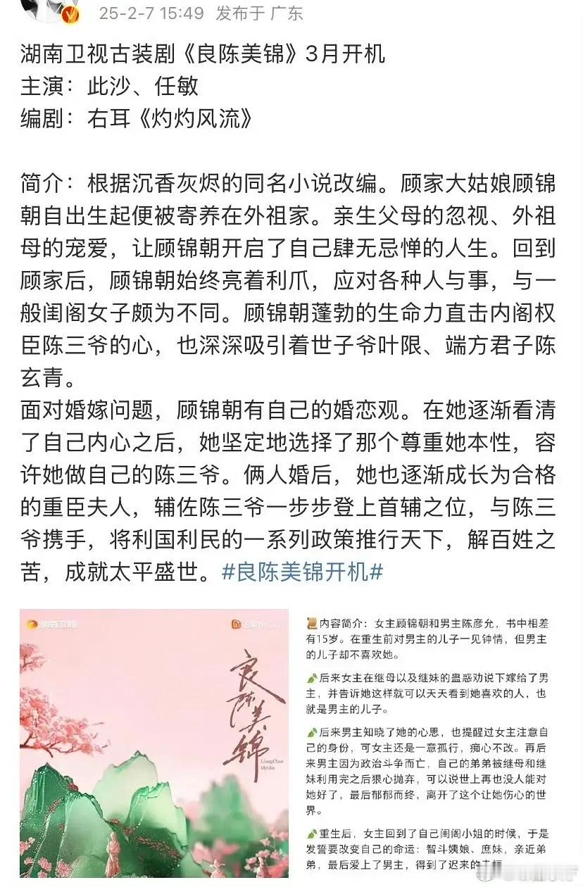 此沙任敏在之前那部剧里都毫无水花纯纯浪费ip 