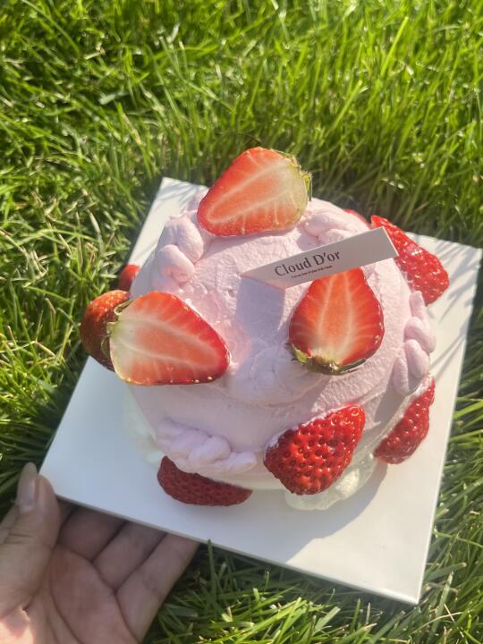 北京！！近期吃过奶油最好吃的小蛋糕🍰