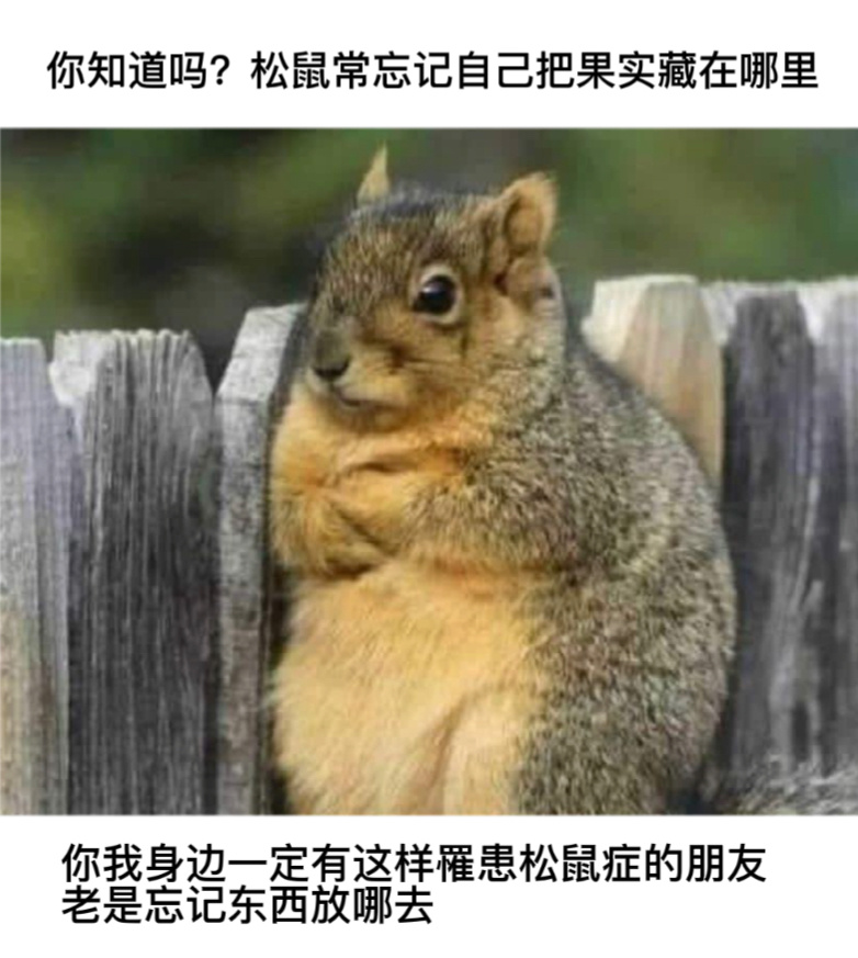 我是松鼠#今日memes# //#我的幽默搭子# //#定格# ​​​