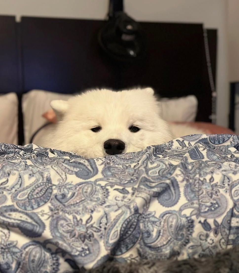 晚安耶 