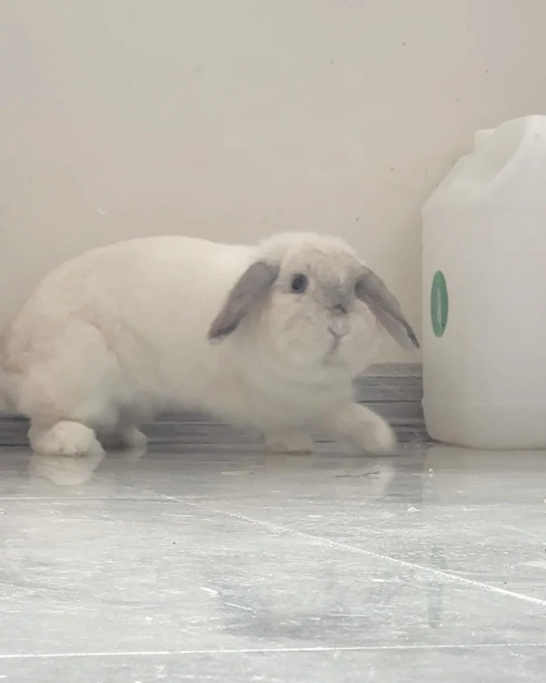 猜猜她为什么这个表情🤦‍♀️