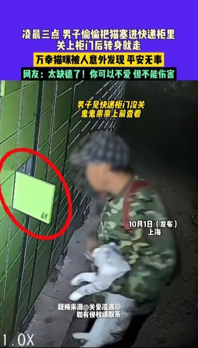 “太缺德了！”10月1日，上海，一男子凌晨偷偷将一只宠物猫塞进快递柜内，随后头也