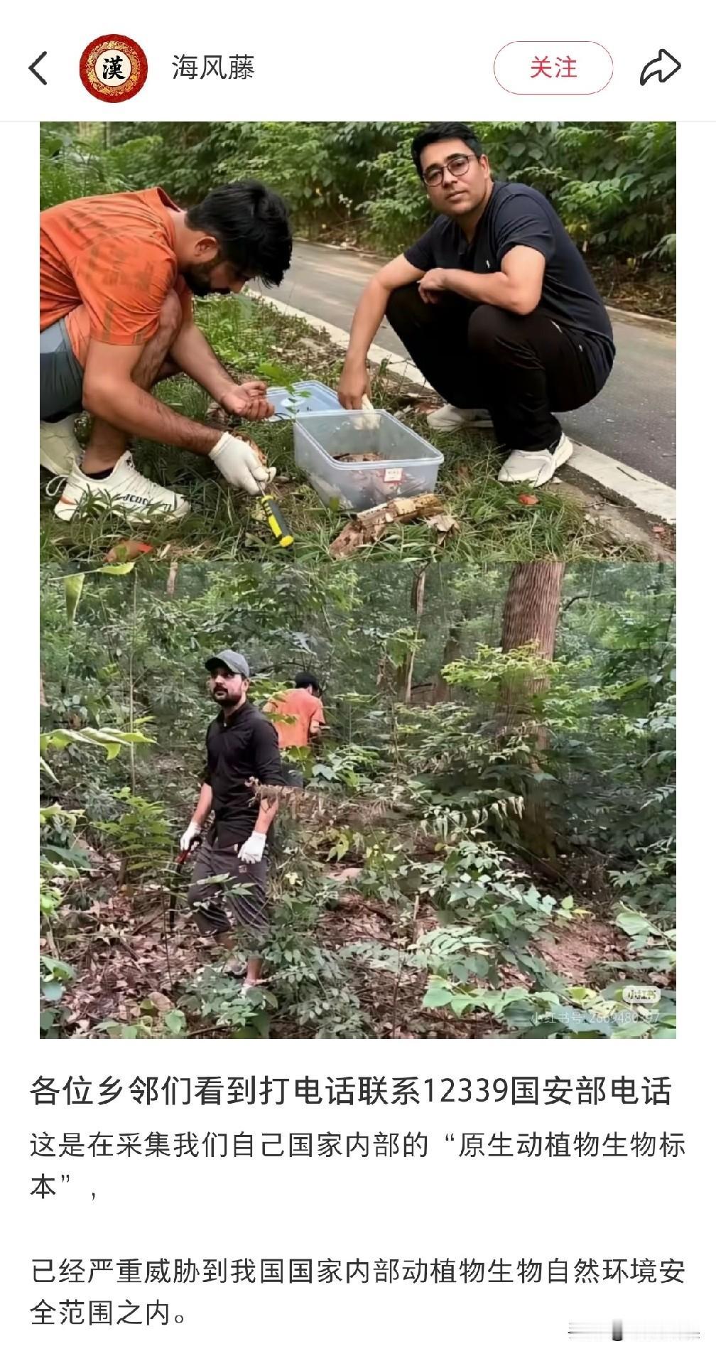 这又是在干什么？
有网友发帖声称几个印度人'在深山老林里面，他们把植物放进塑料盒