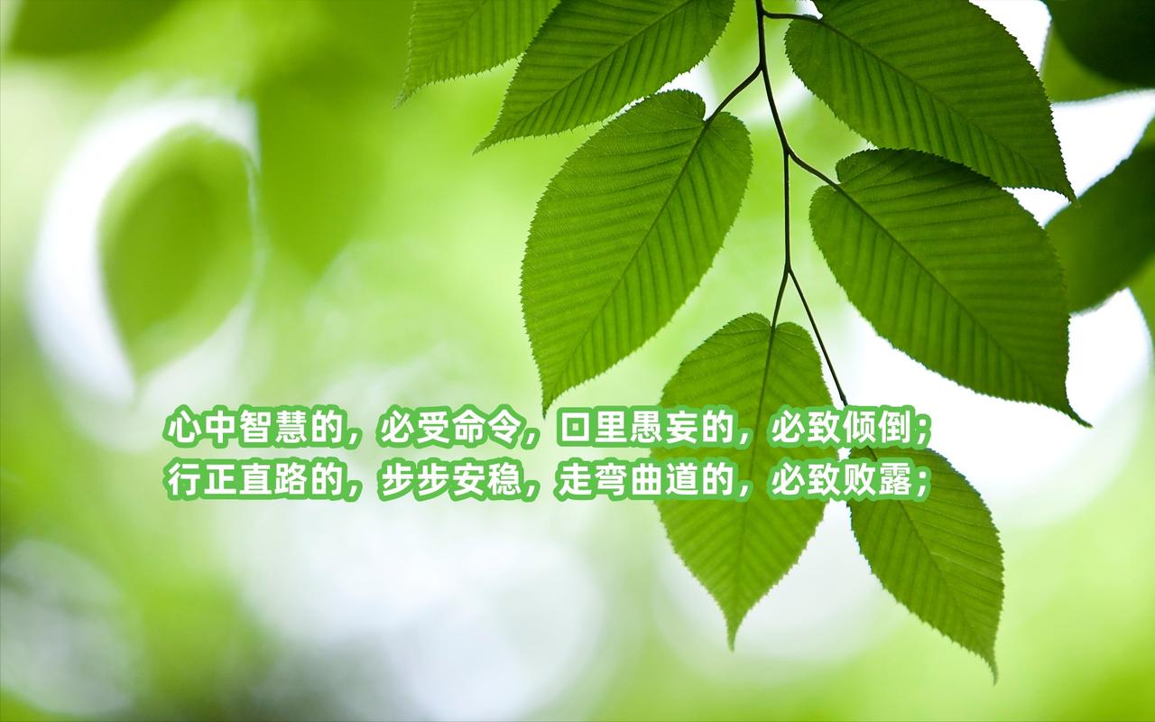 做能量高的人，就是积极正向的去生活，任何阻碍你成长，阻碍你变好，让你忧伤和痛苦的