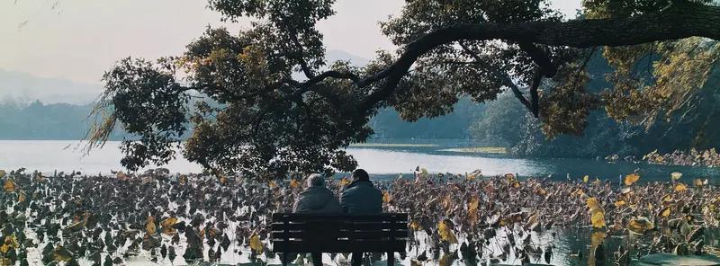 我最幸福的事，是在城市漂泊中享受那片刻宁静。忙碌一天后，坐在公园长椅上，看着落日