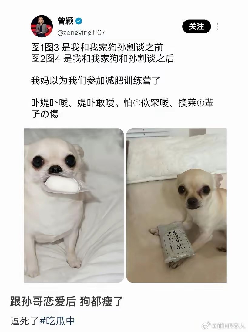 孙宇晨前女友曾颖：跟孙割谈恋爱后，家里的狗都（割）瘦了[笑cry][允悲]。有网