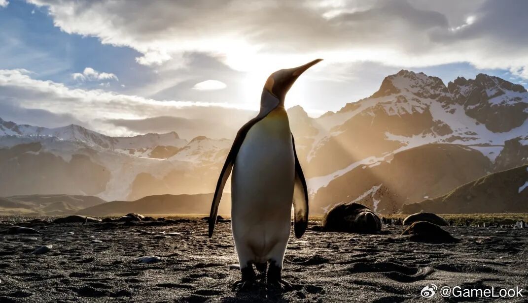 【腾讯2025年游戏收入2416亿元，电话会“全程飙AI”，高管：“游戏是少数A