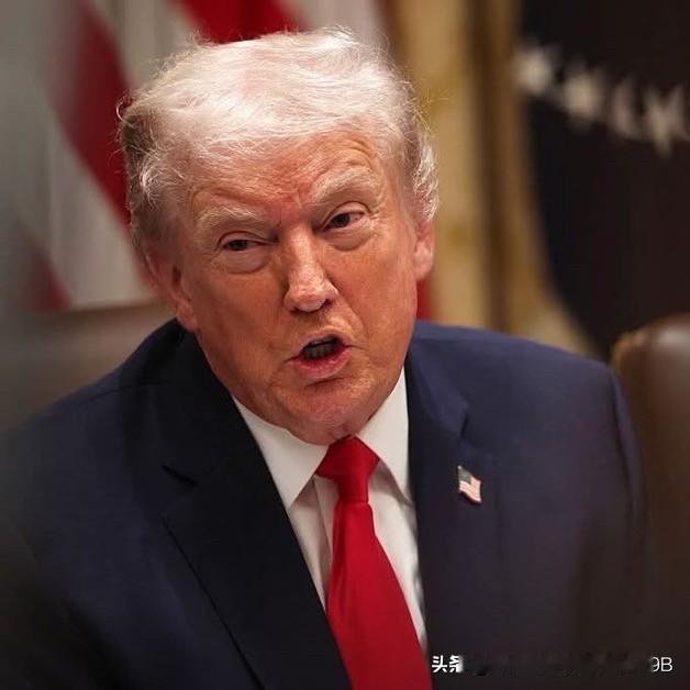 唐纳德·特朗普表示，与伊朗的谈判仍在进行中，但不能将谈判内容告知海湾国家。