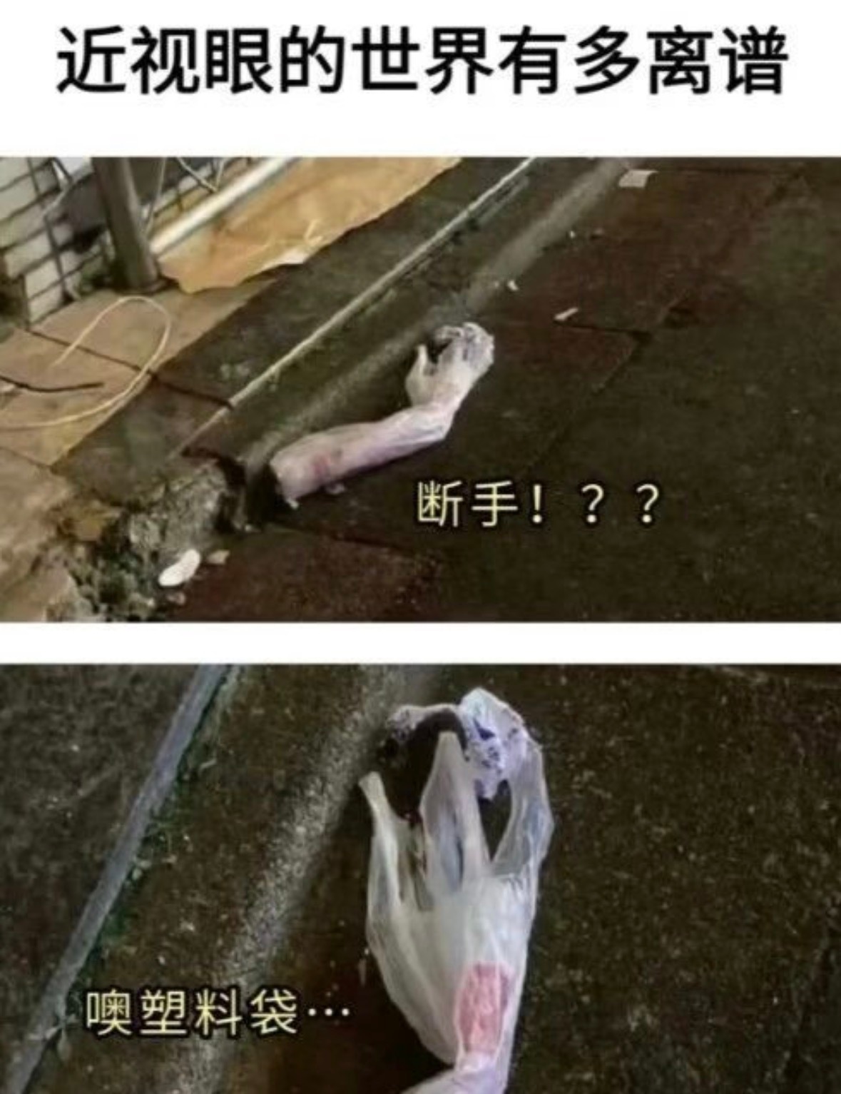 近视眼的世界有多离谱 ​​​