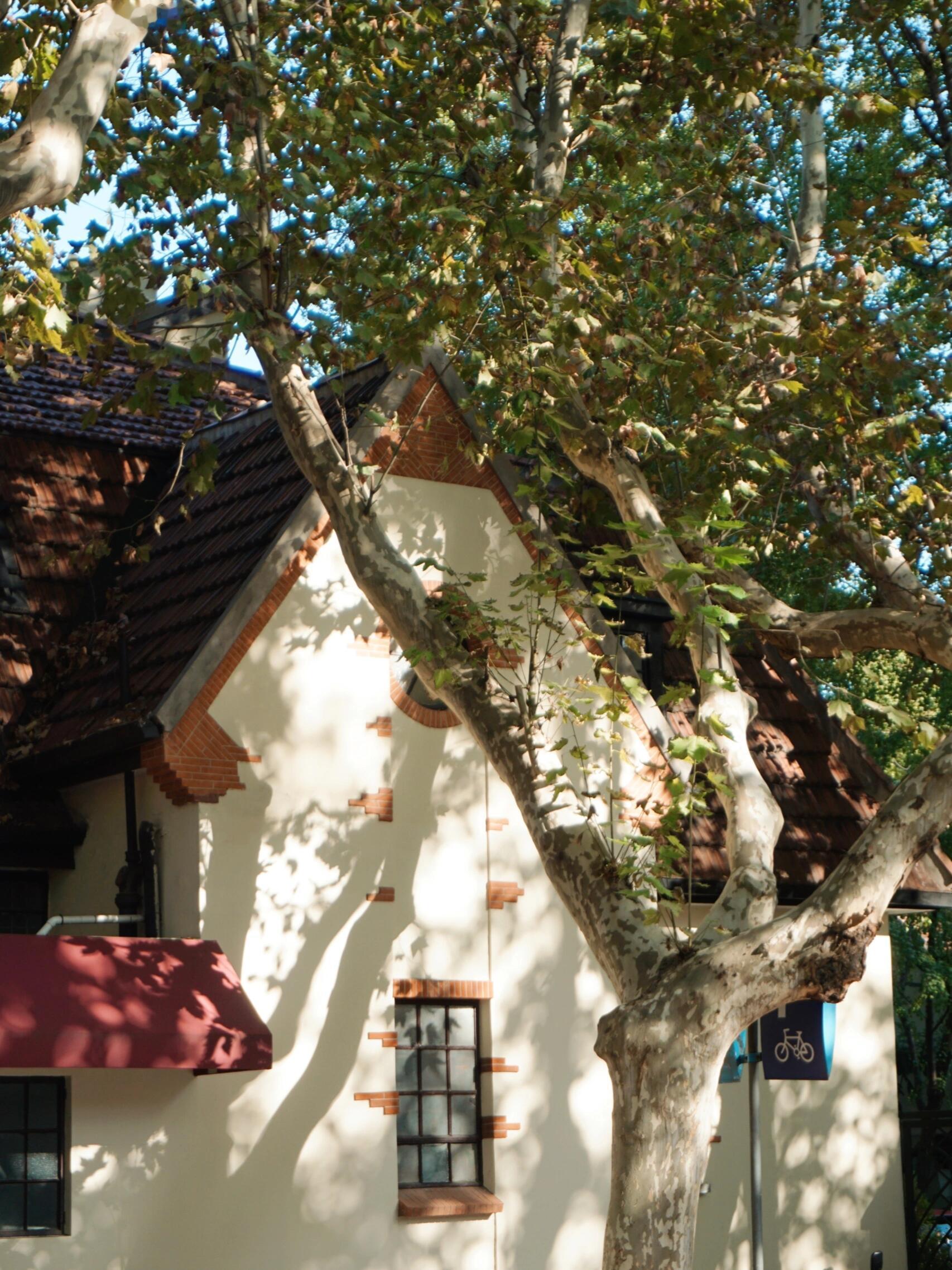 📔📝𝗛𝗶 𝗟𝗶𝗳𝗲🤚🏻.ᐟ.ᐟ⊹ ˚享受幸福的晴朗的时光 