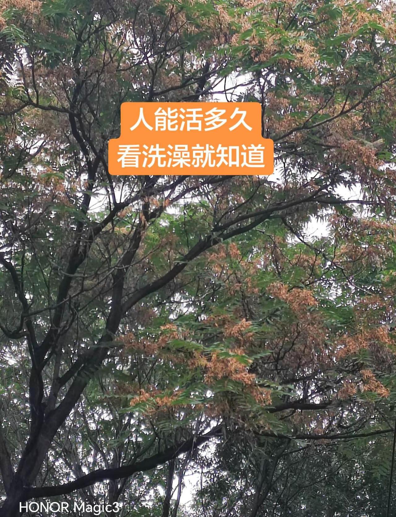 伦敦世乒赛|18.2万人参与去发布>会当凌绝顶一览众山小!国乒男团3:0横扫日本