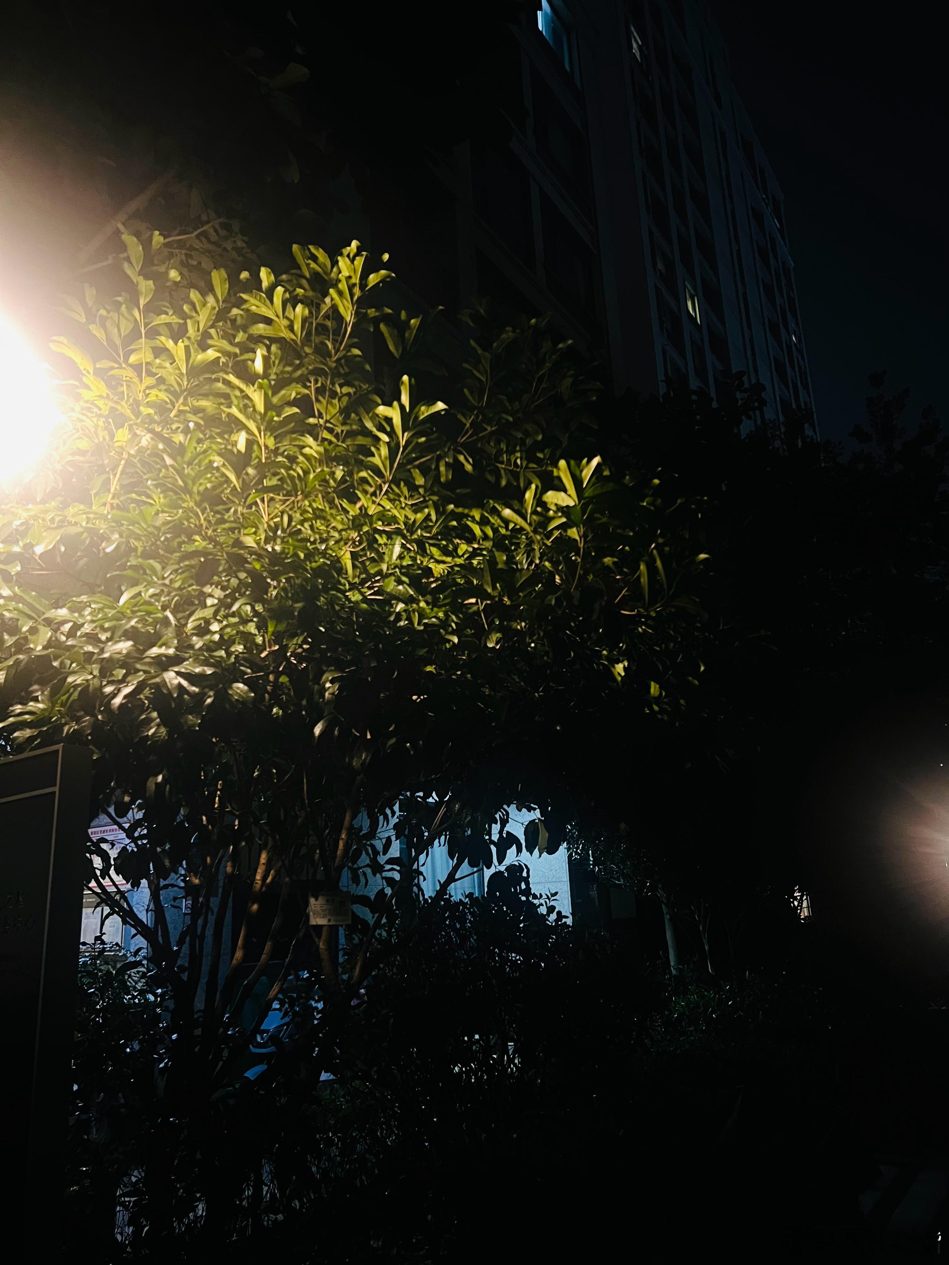 别说台风，一丝风都没有啊……热的我