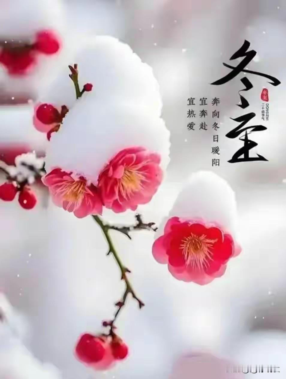 海南封关是怎么回事？先说清楚，所谓“封关”，不是封岛，而是把全岛设为海关特殊监管