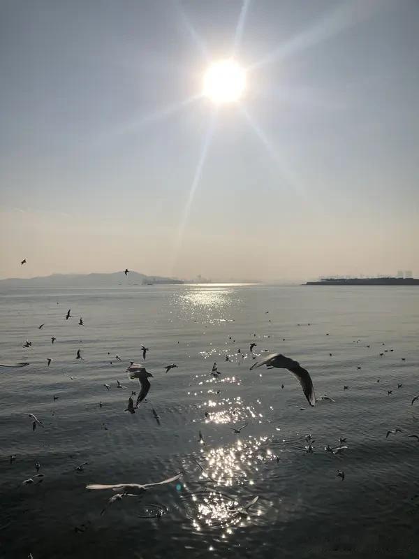 老了，什么才是真正的底气？看看身边的例子就明白了。邻居张姨68岁，每月四千多退休