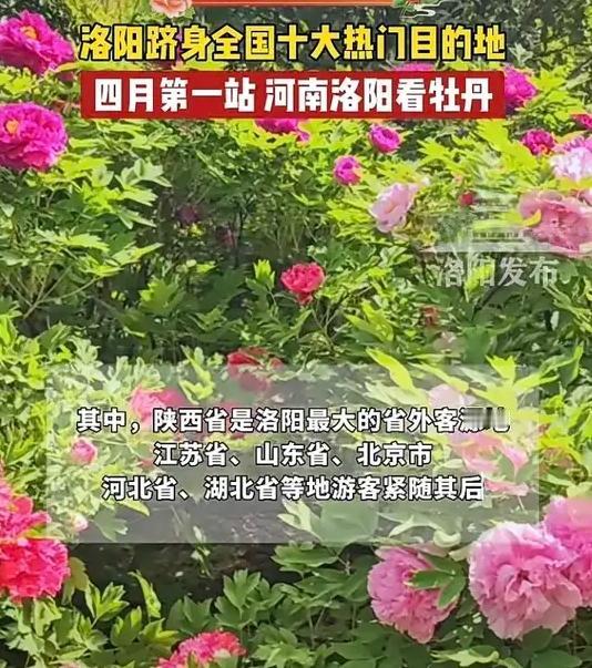 网络跟现实总是有点对立！
        经常在头条上写点东西，如果说咱们洛阳好