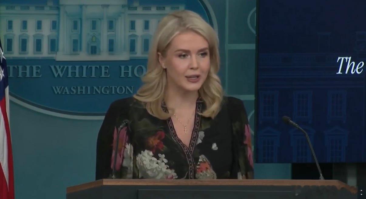 ‼️白宫新闻发言人：“政府正在鼓励民主党人重新开放联邦政府，以制止美国空中交通管