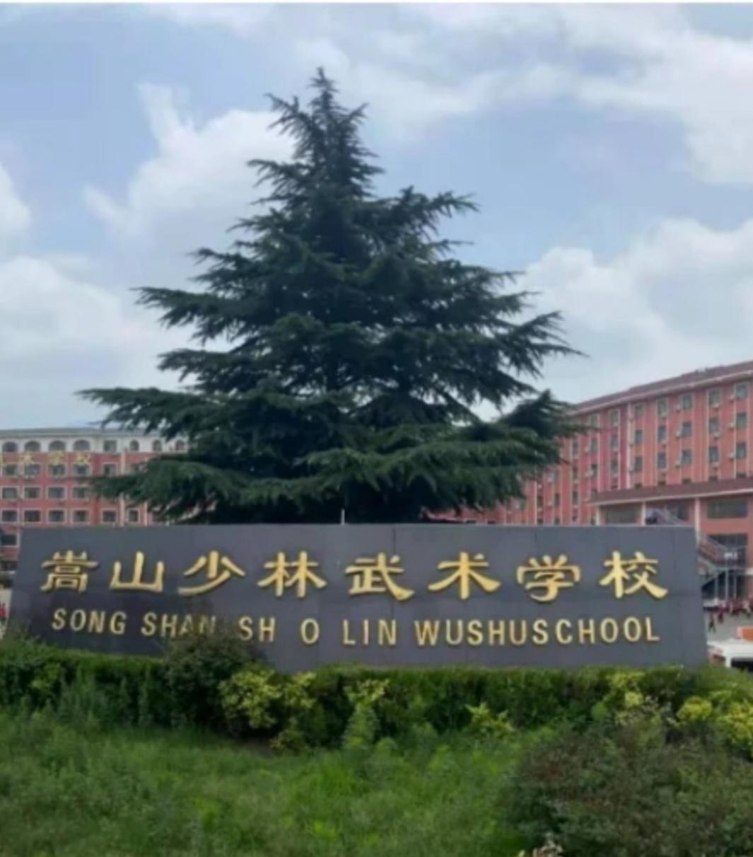 少林武校毕业后能干什么职业？
少林武校毕业后出路挺多的。在武术传承与教育领域，凭