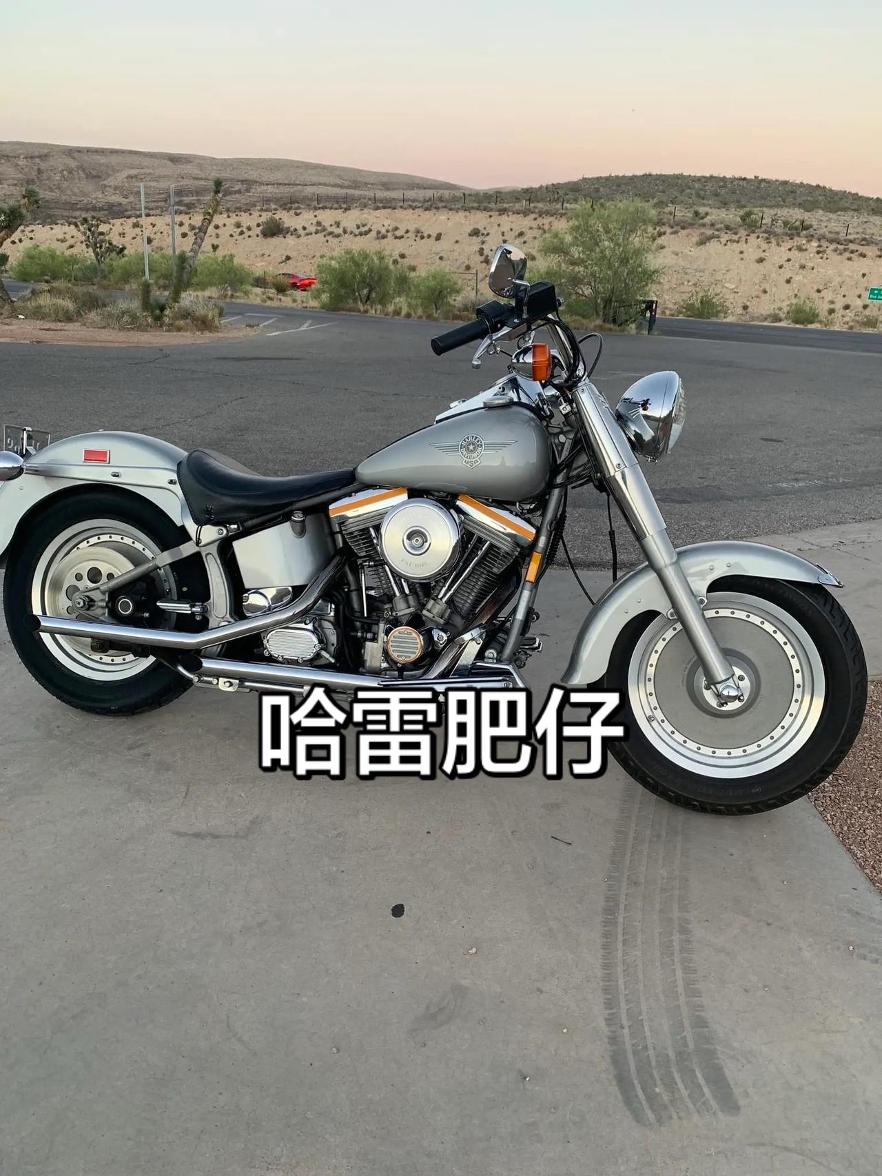 还是化油器的老哈雷肥仔有味道啊。哈雷肥仔 哈雷