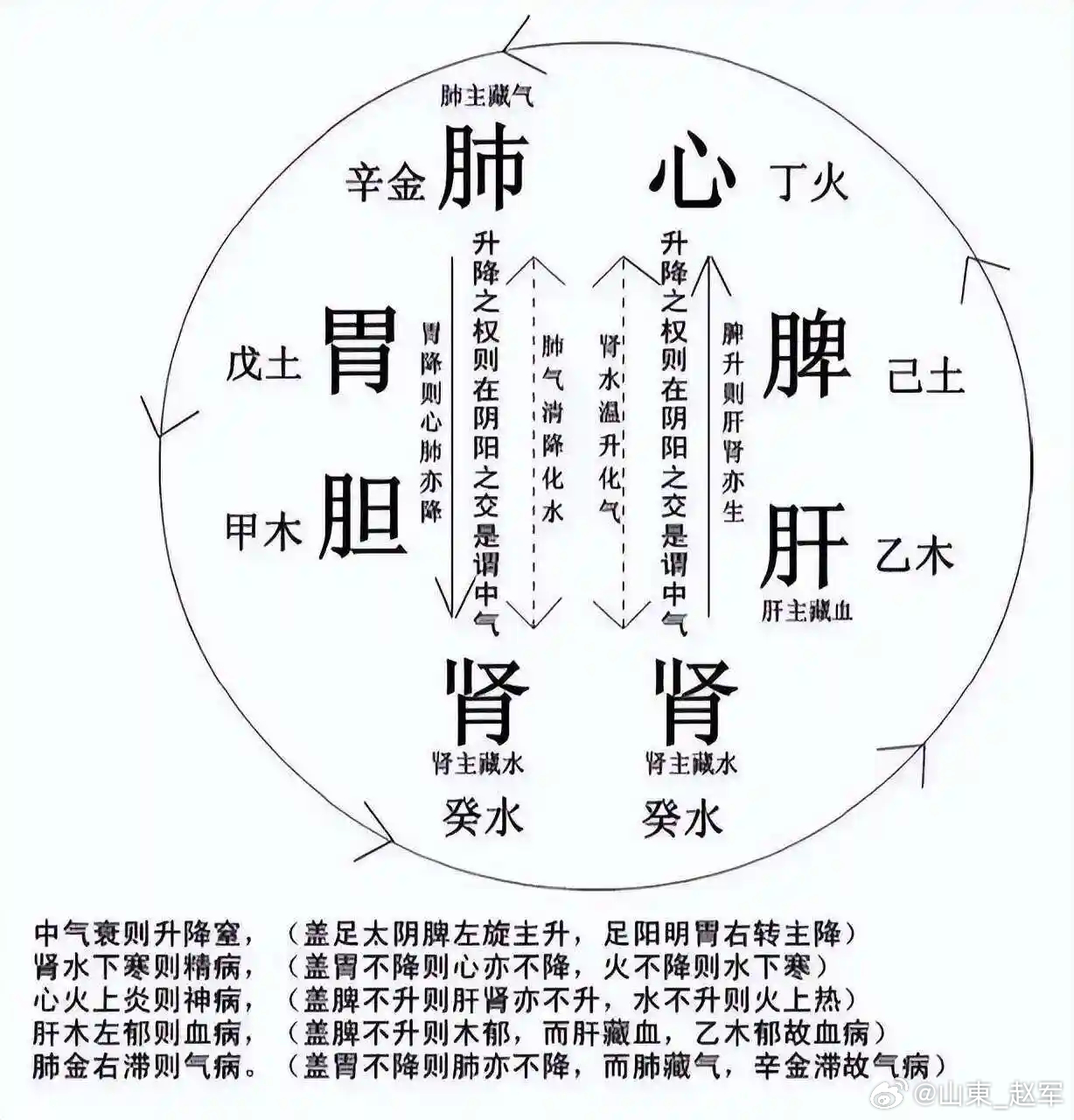 黄元御元气圈：肾水升腾，元气圈中最妙的升发奥秘水往低处流是常理，但在人体内，肾水
