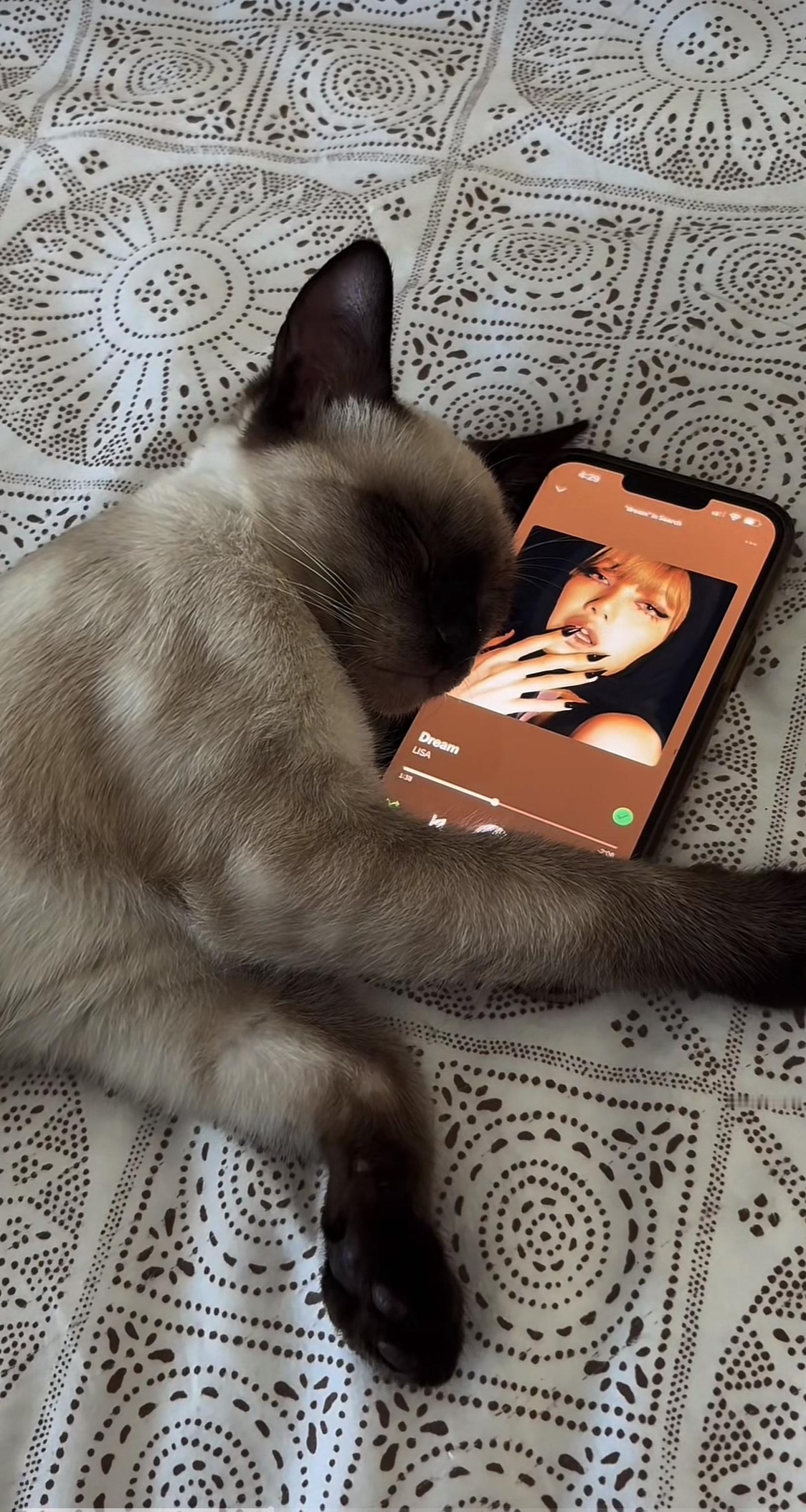 最近的状态be like： ​​​