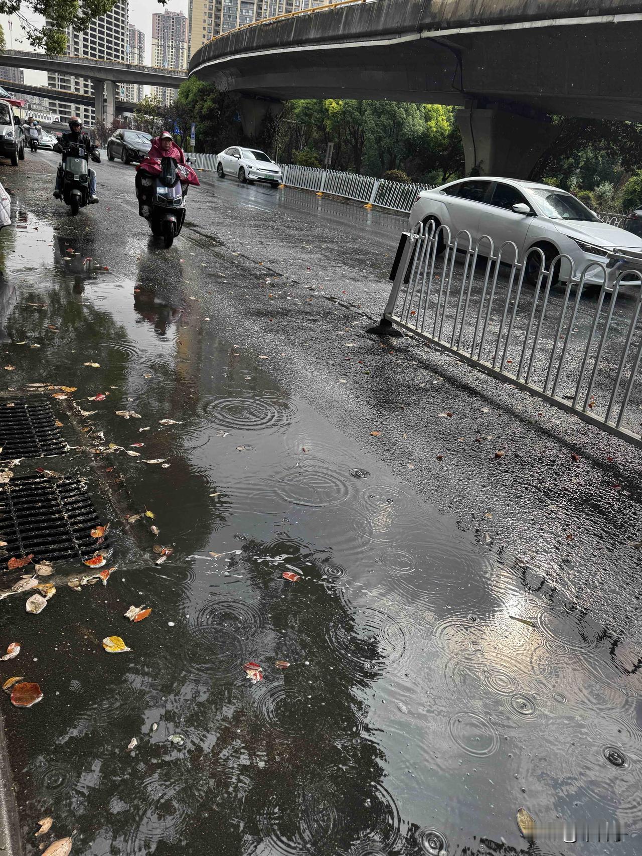 昆明连晴多日，突遇春雷雨！

昆明突降大雨，电闪雷鸣！

最难熬的时候，再坚持一