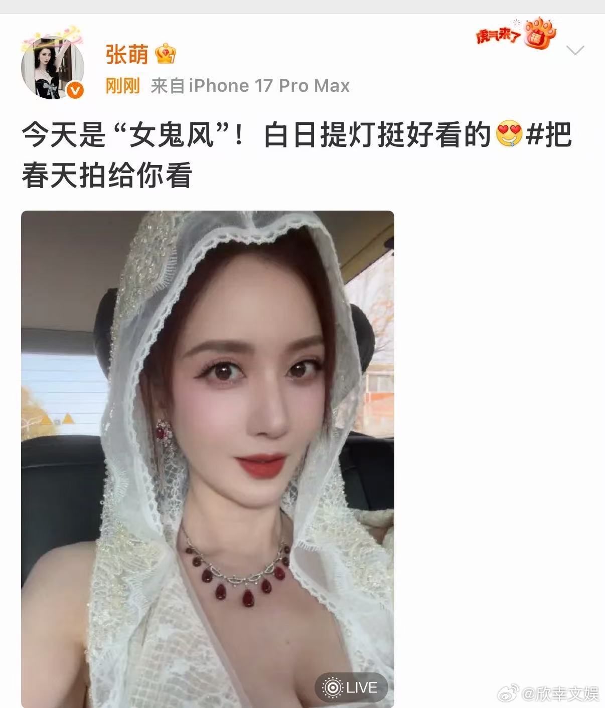 张萌安利白日提灯张萌推荐白日提灯张萌安利白日提灯，不错不错，