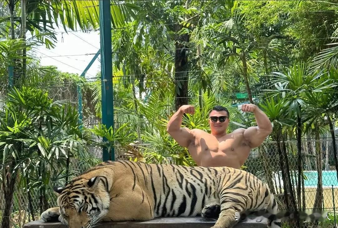 30岁健美冠军意外去世，病魔不在乎身体强不强壮！

王昆：一位8连冠的职业健美运