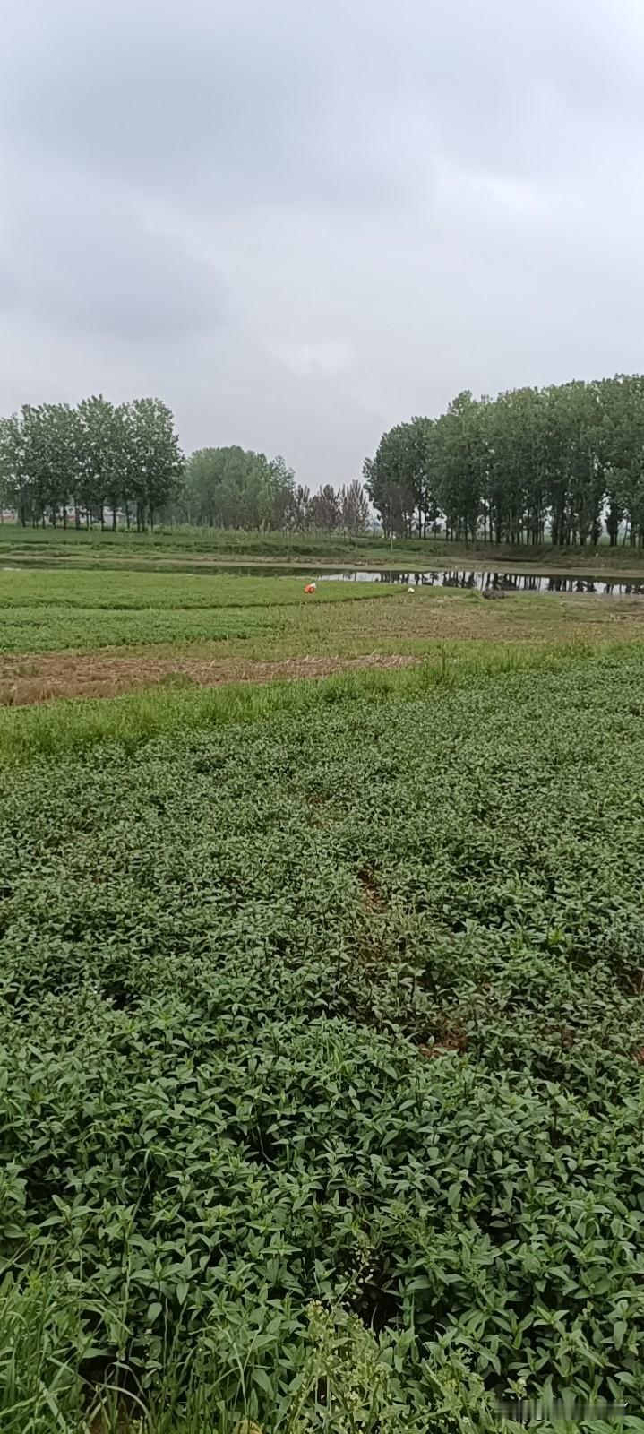 任何时候都不要企图改变别人。就像遇到下雨，你可以选择打伞或者打车，唯独不能跟雨较