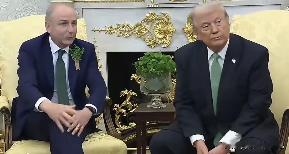 美国总统特朗普在白宫会晤爱尔兰总理马丁时表示，北约国家不愿协助美国在霍尔木兹海峡