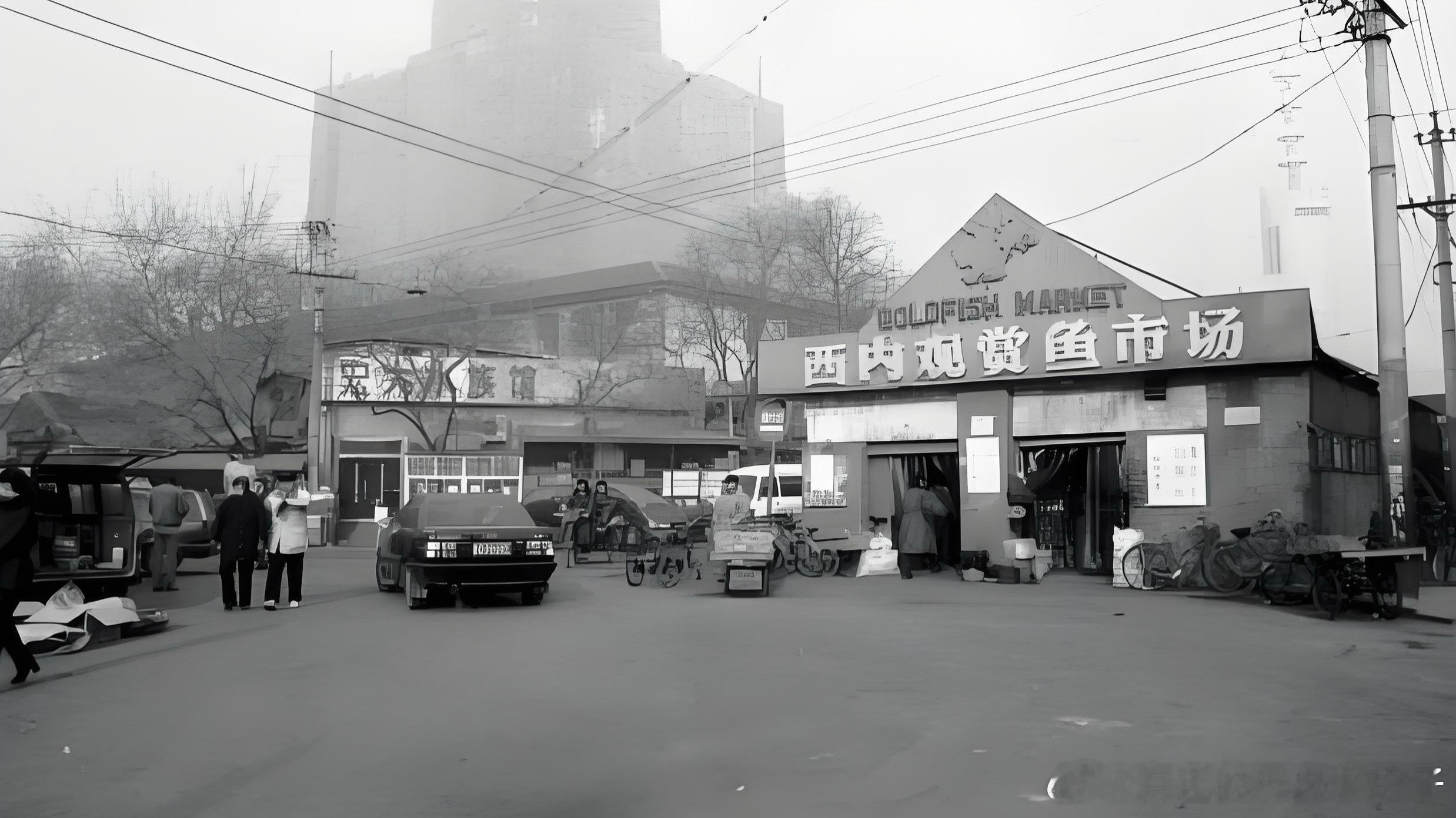 上世纪九十年代北京西直门内的西内观赏鱼市场