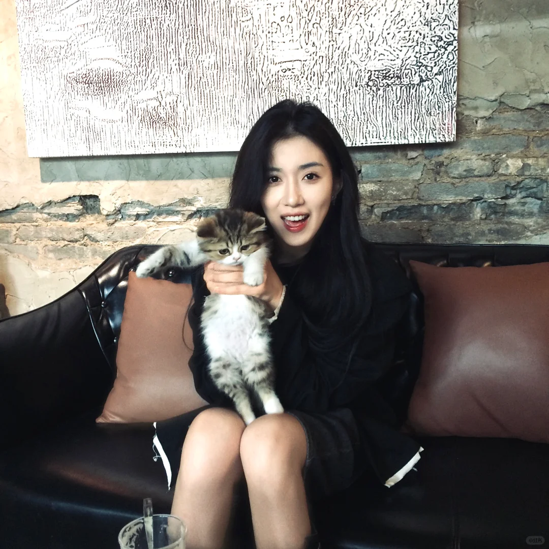 我和小猫🐈