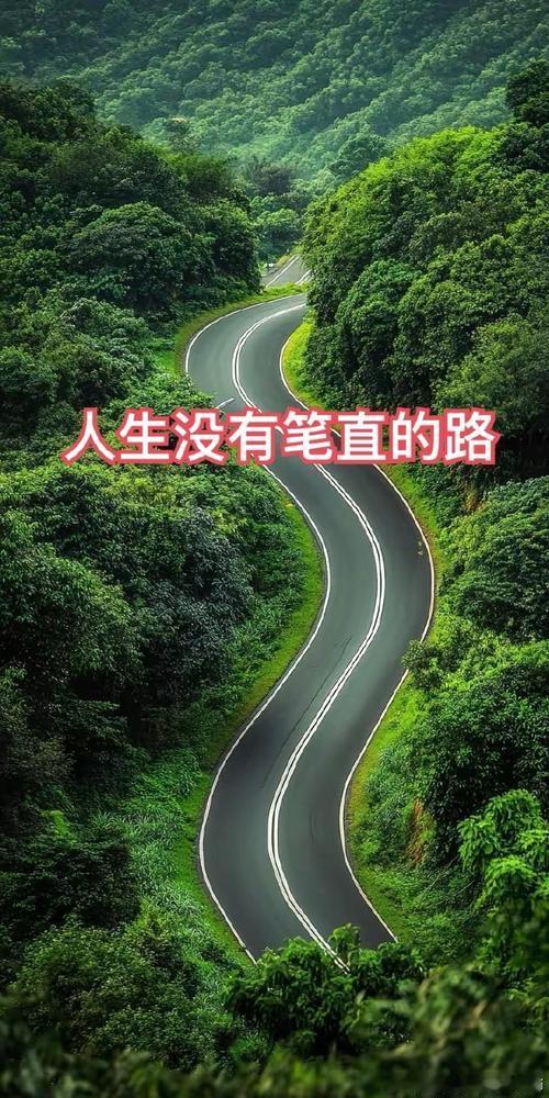 友友见景生情，有感而发，尤其是文图并茂的作品，告诫人们人生之路蜿蜒曲折的道理，不