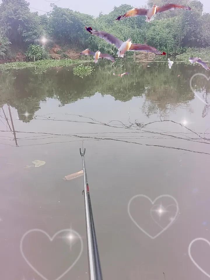 晒图笔记大赛