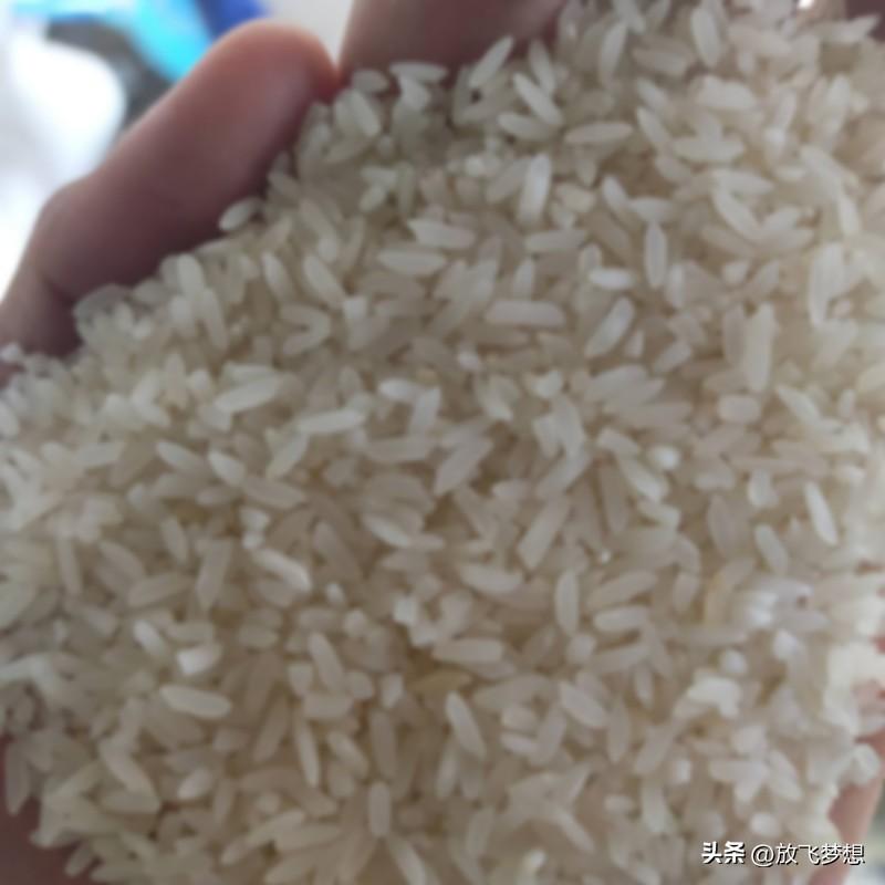 发黄的大米还能吃吗? 发黄的大米能不能吃，得具体情况具体分析。要是大米因青霉菌污