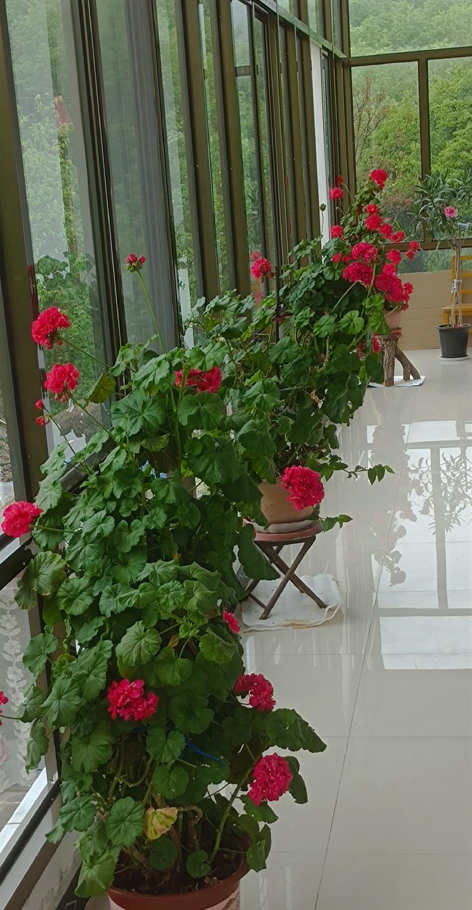 山雨欲来风满楼……

各种迹象表明，美伊正在为再大规模冲突做准备。
在美国出访前