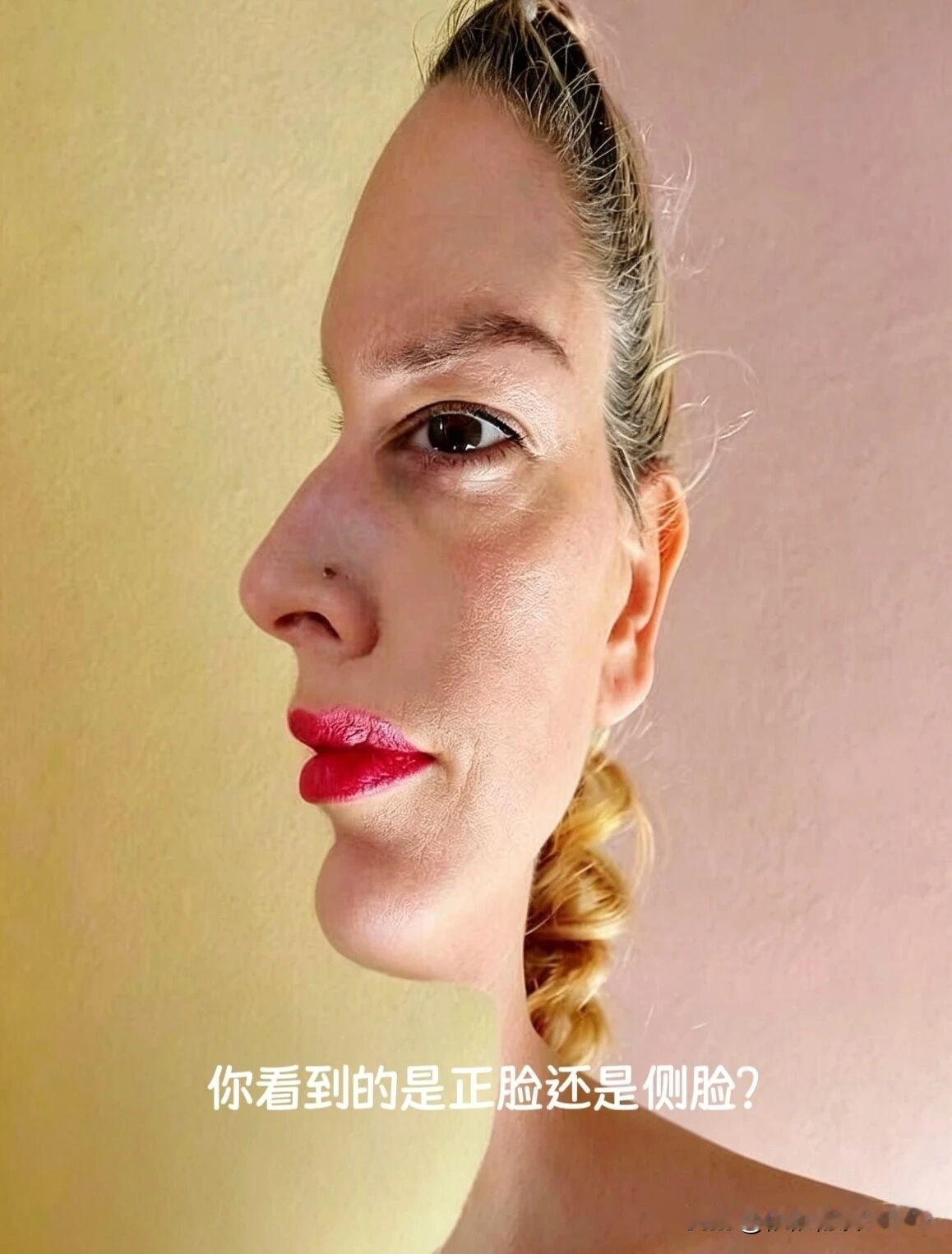 第一眼看到这张图，你看到的是正脸还是侧脸？
 
生活里我们总容易觉得，自己看见的