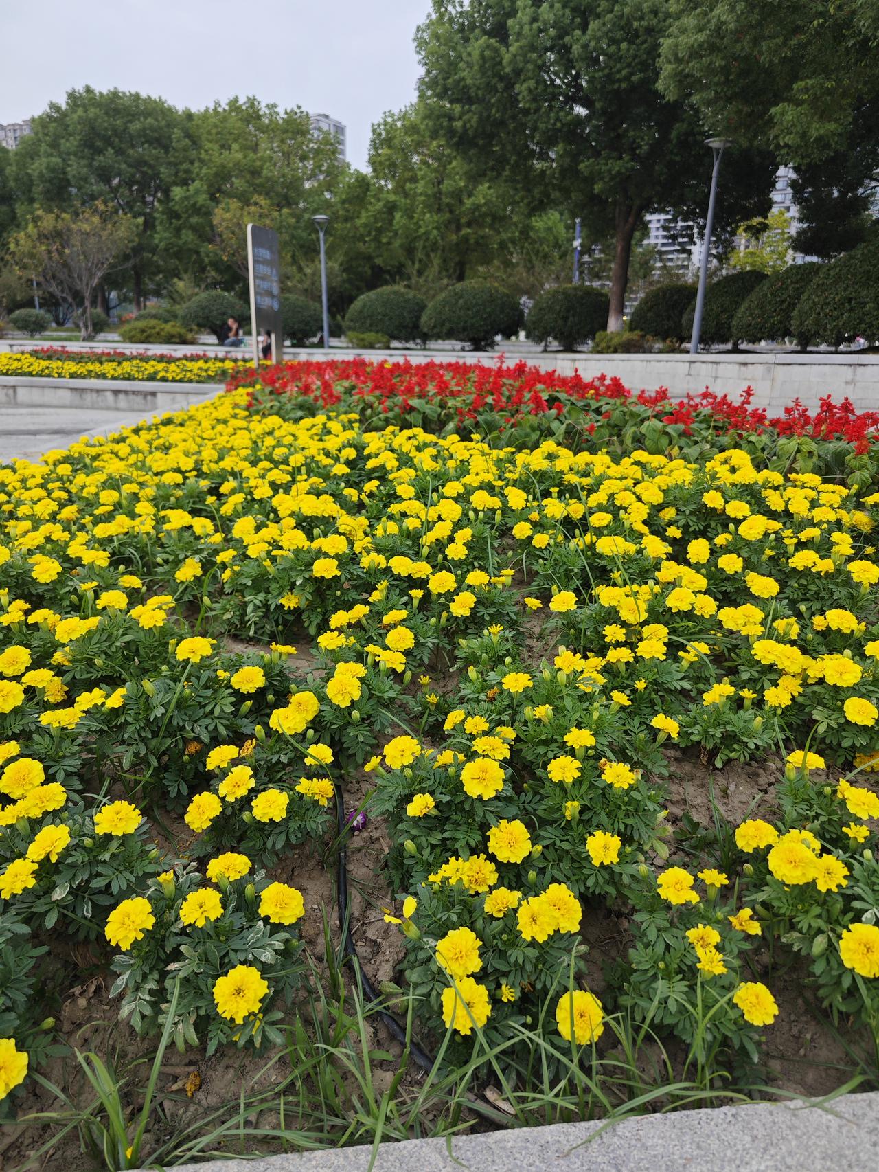五十岁后，存钱不如存“命”！这5条土办法，花钱都买不来

人过五十，零件都老了。