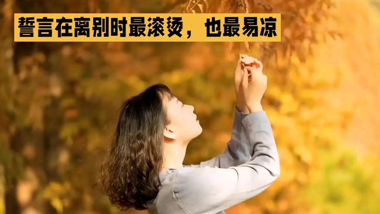 誓言漫剪 誓言与承诺 誓言只是一时的失言