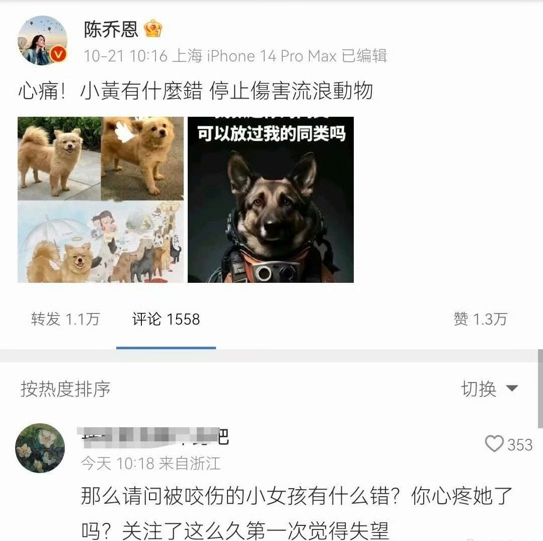 #陈乔恩为流浪狗发声#急吼吼跳出来为流浪狗尽孝的陈乔恩到底有没有搞清楚这个事情的