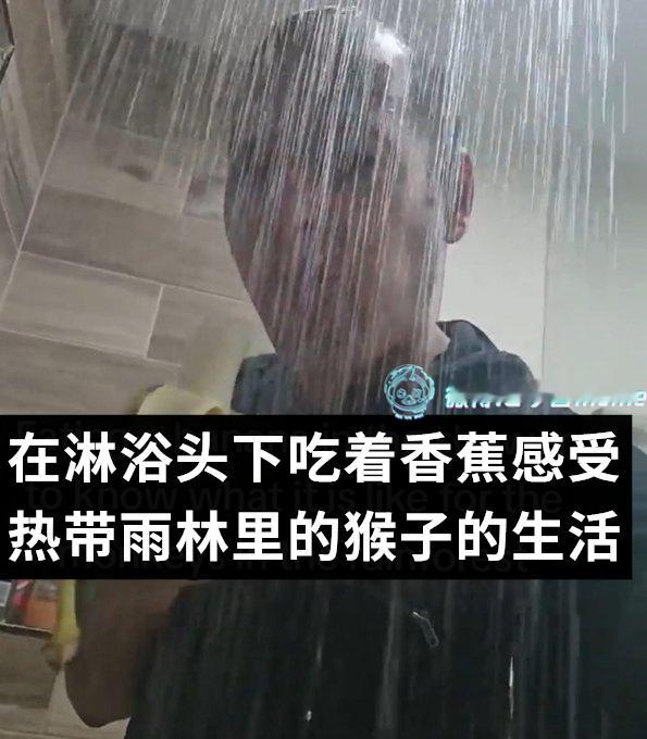 主动返祖（9gag）哎呀