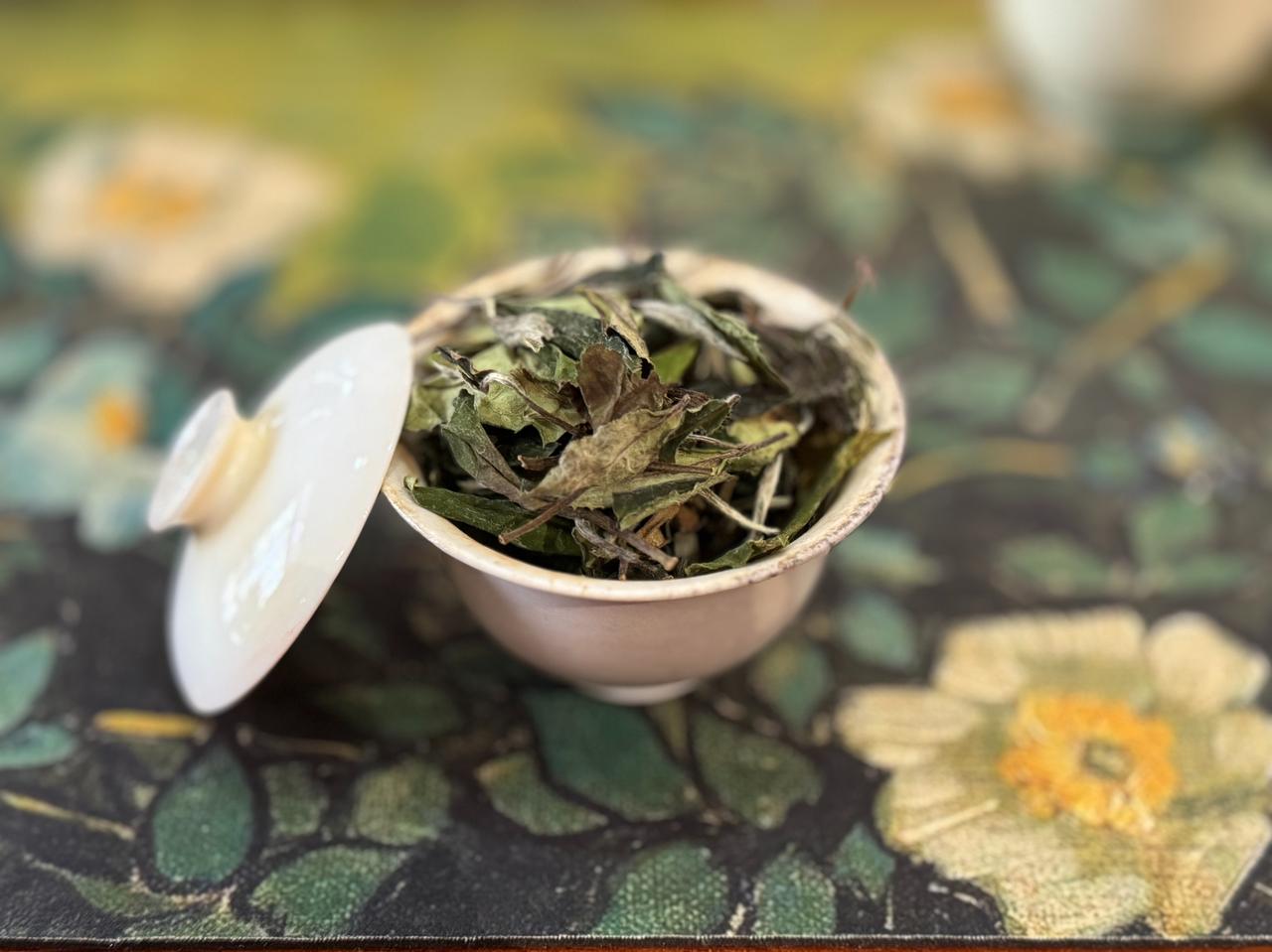 现在流行的小茶具到底是多小？具体容量来了！
最近几年，茶圈特别流行小茶具。
小小