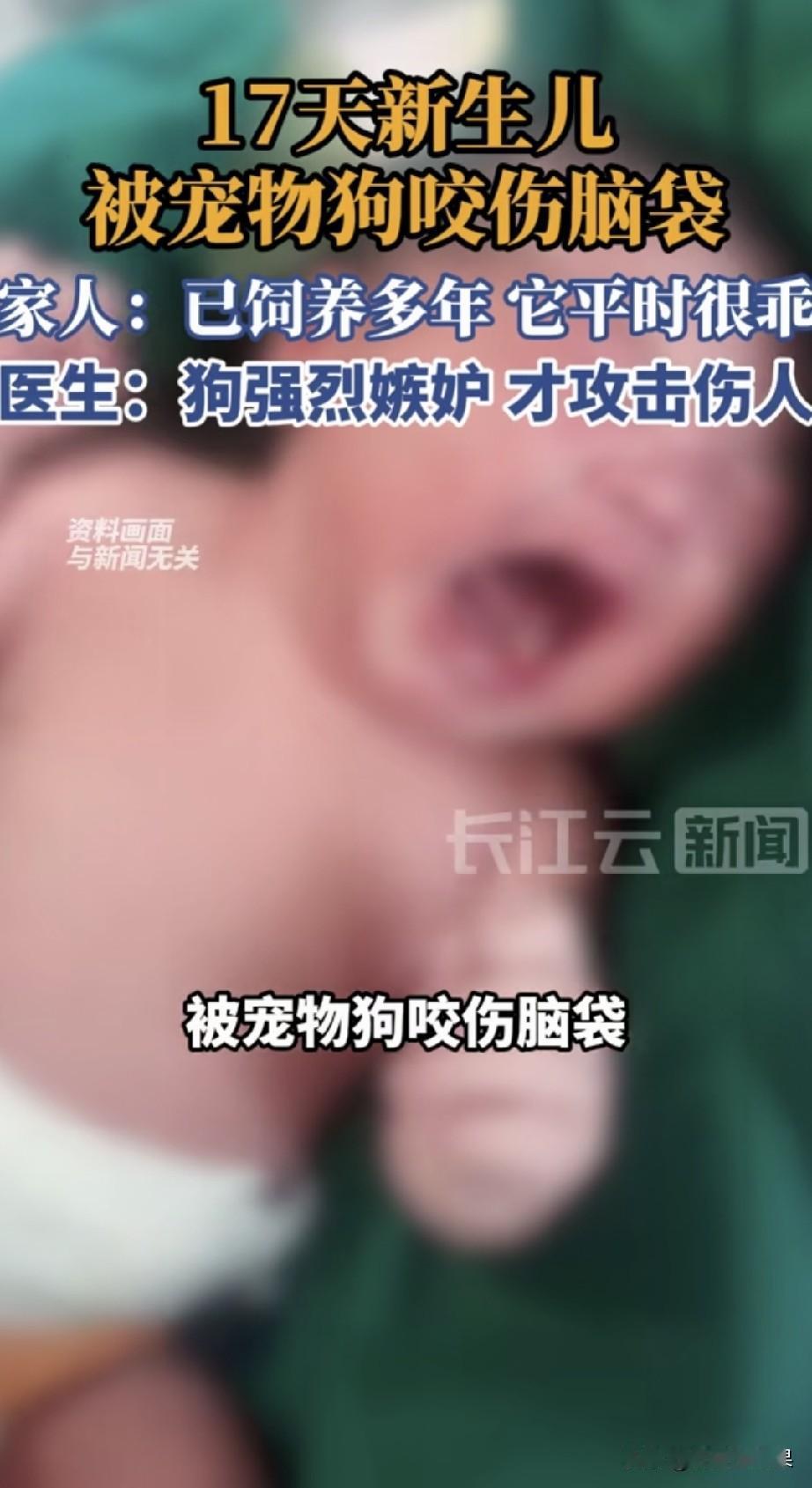 这对夫妻真的是心大，都生小孩了，家里还要养着宠物狗，孩子才是最重要的，狗又算个什