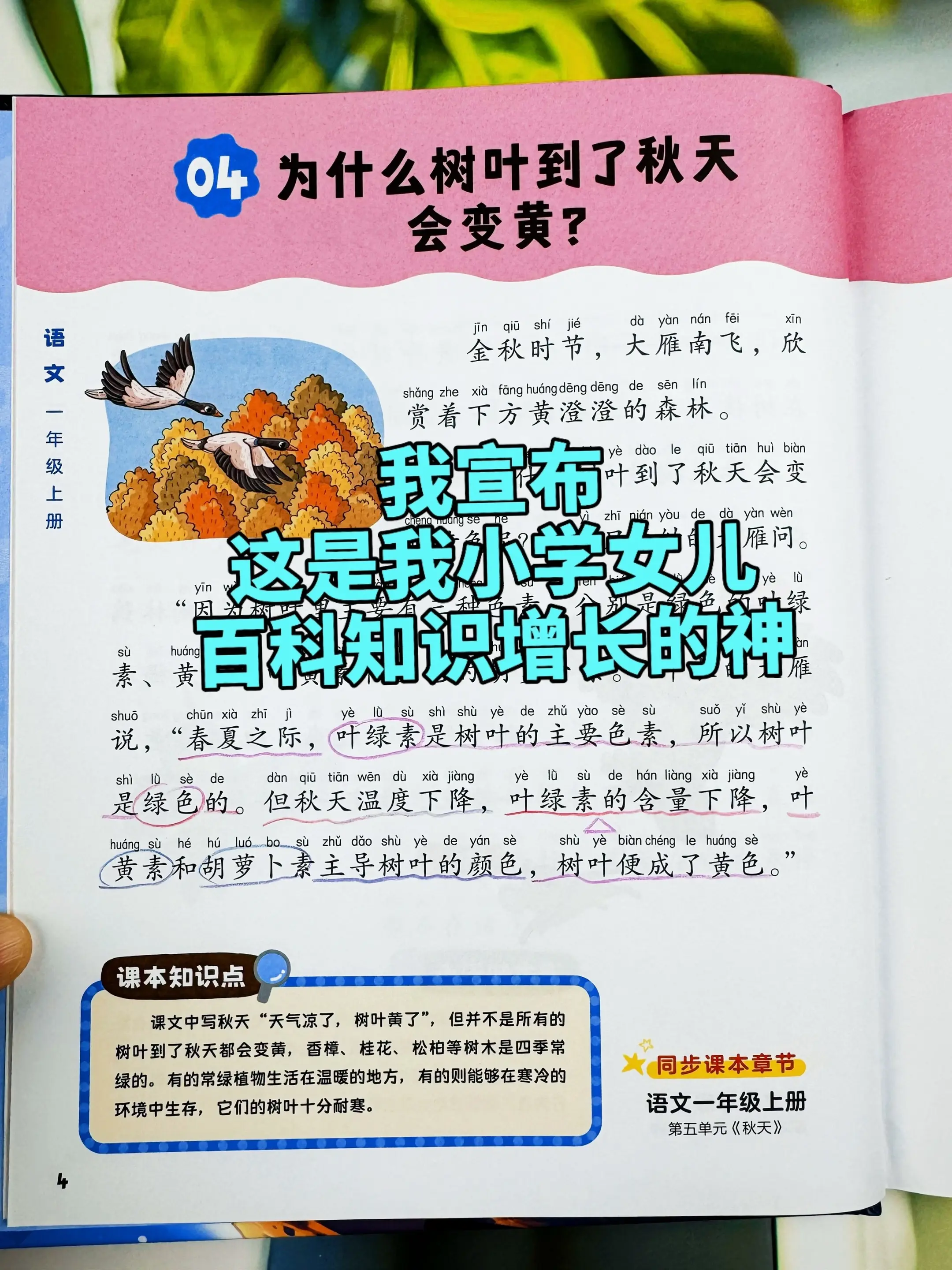 新教材里的10万个为什么？用有趣的提问方式，了解大千世界，满足求知欲...
