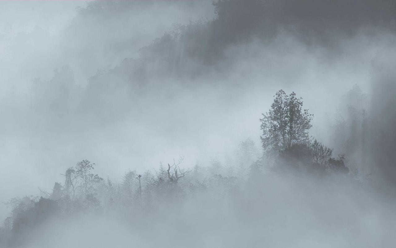我觉得我们这座城市的部分基础教育管理者稍显浮躁。老师本就该专心致志地教书，别弄那