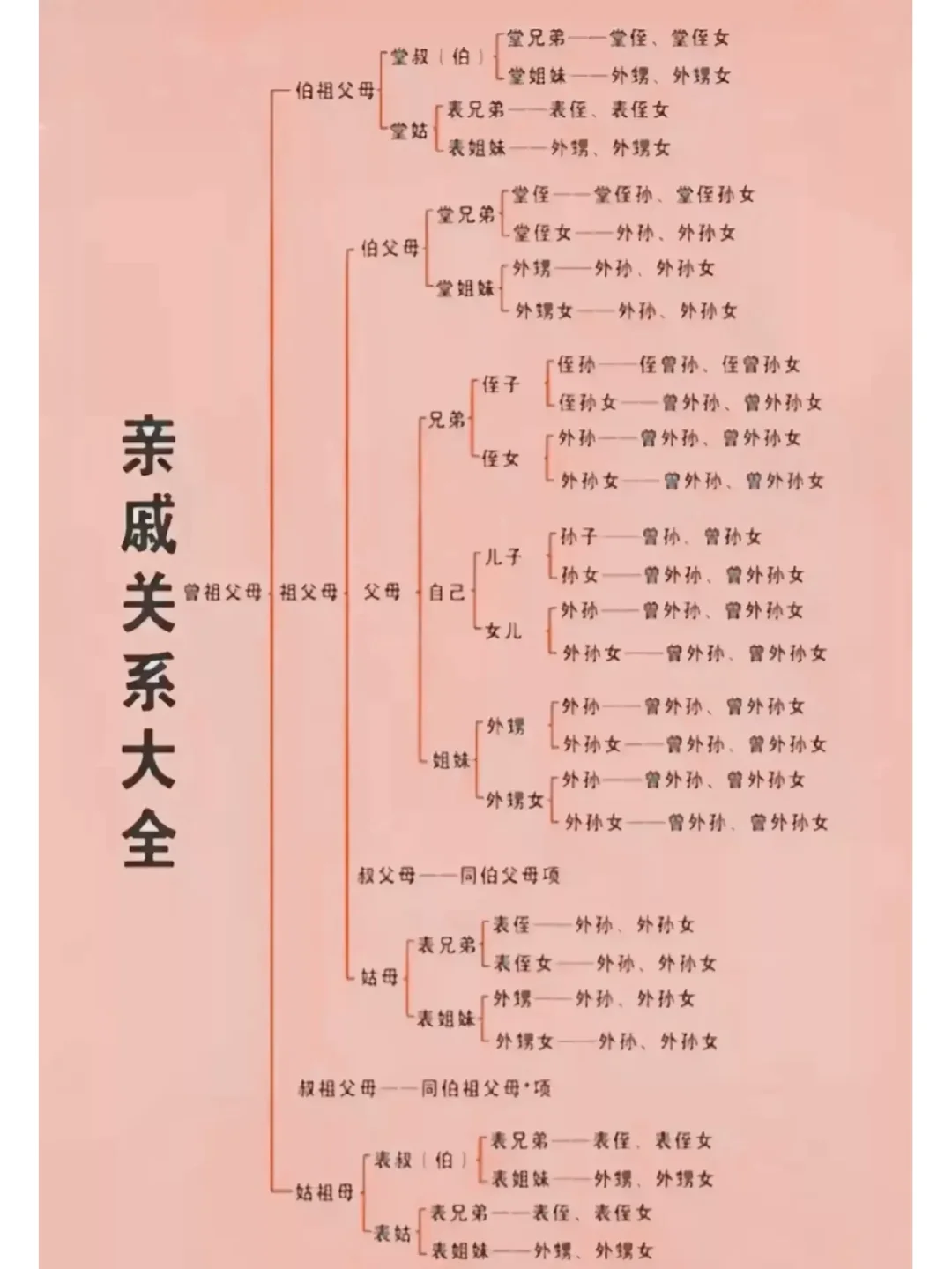 家里的各种亲戚，你都能叫对吗？