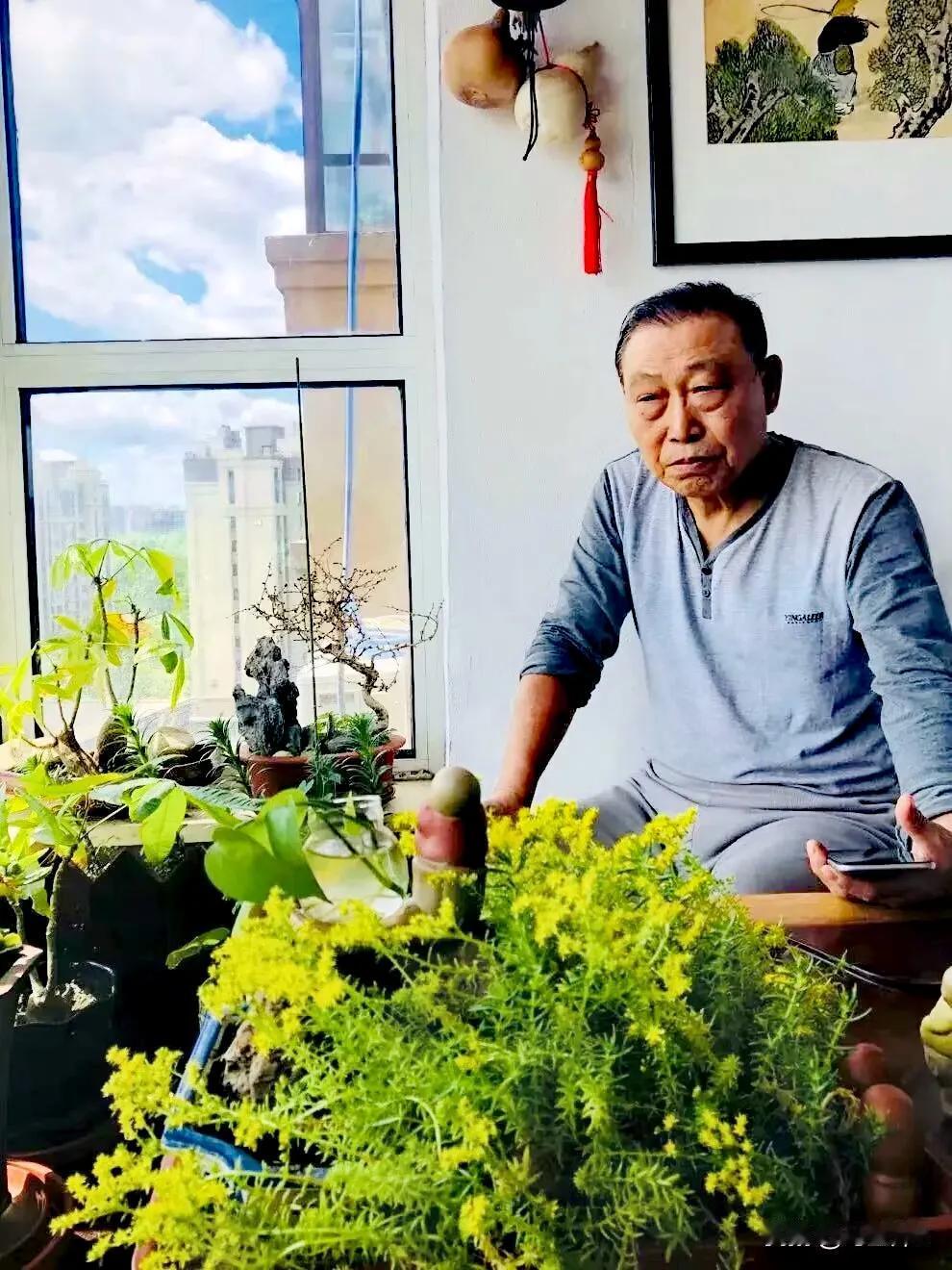茶室里的花儿