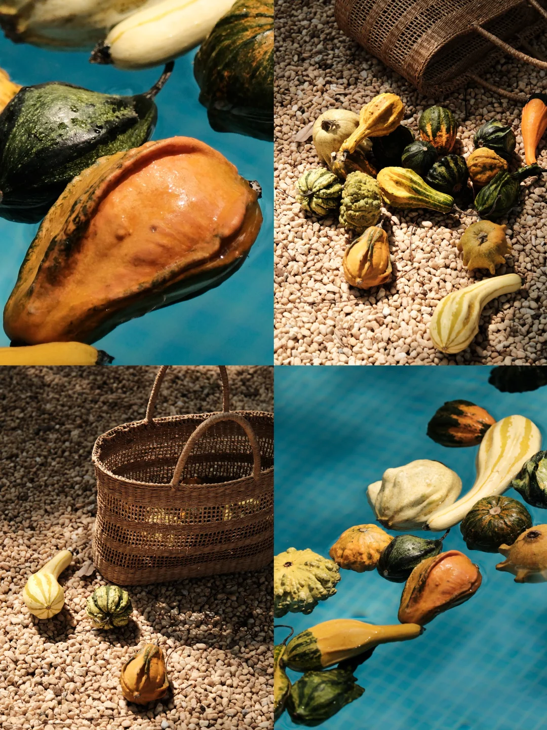 置于玄关陶盘处 唤醒门厅的秋日丰饶