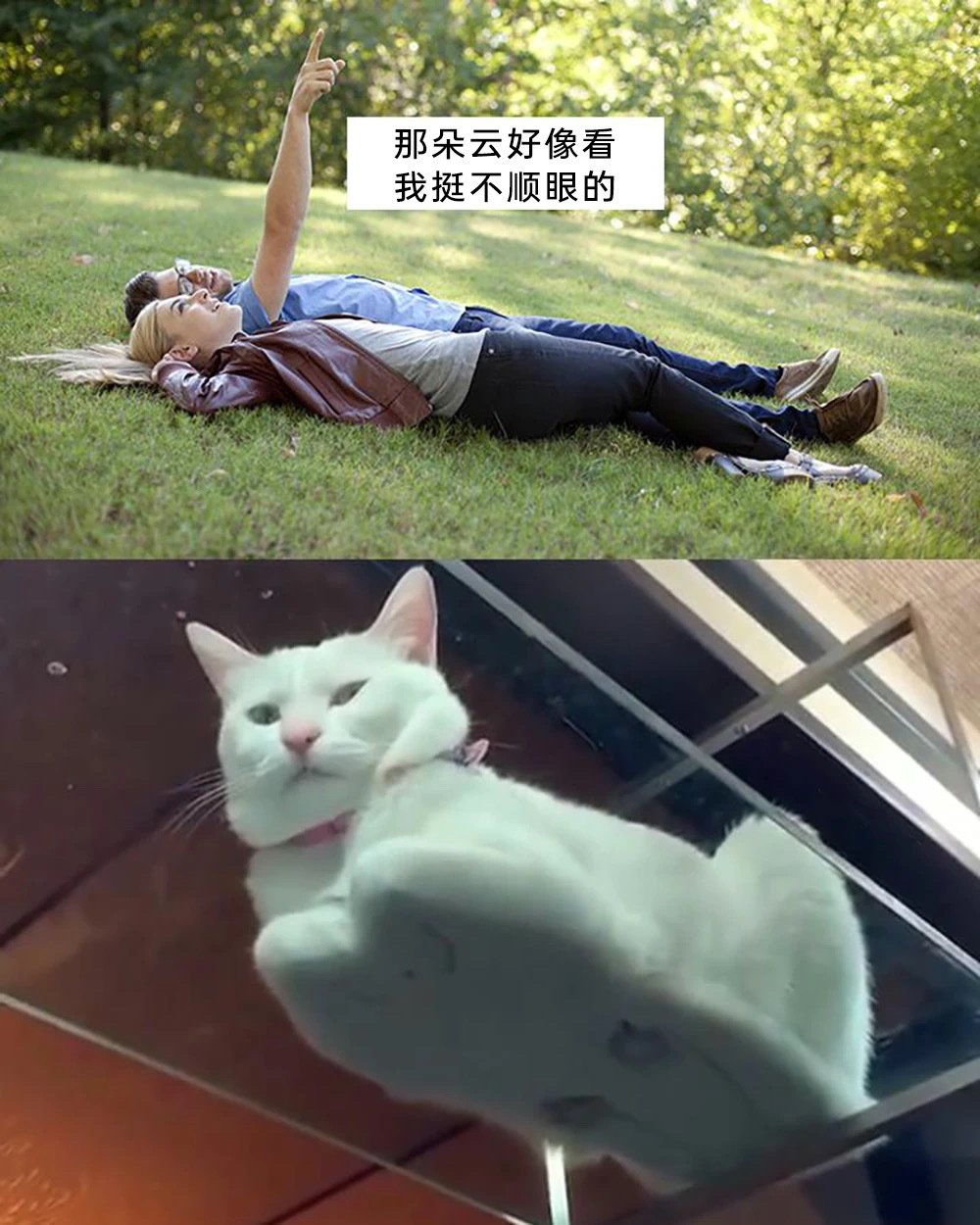 真的诶 ​​​